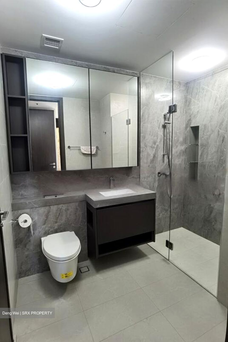 Parc Clematis (D5), Apartment #454480381